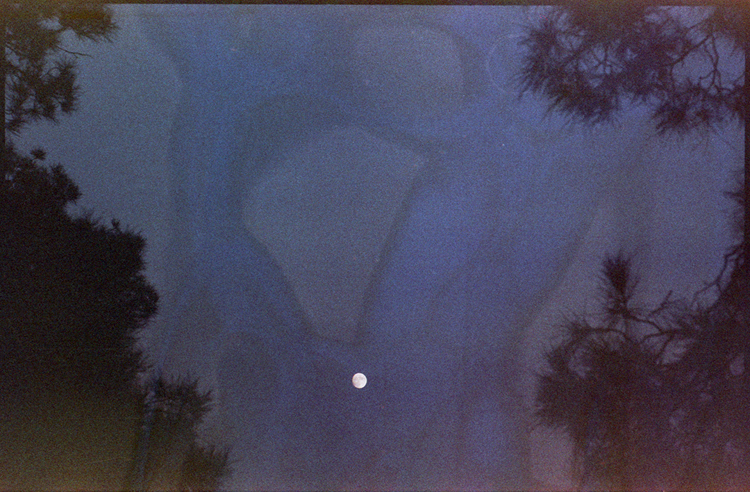 3051_vista_yashica008_1080